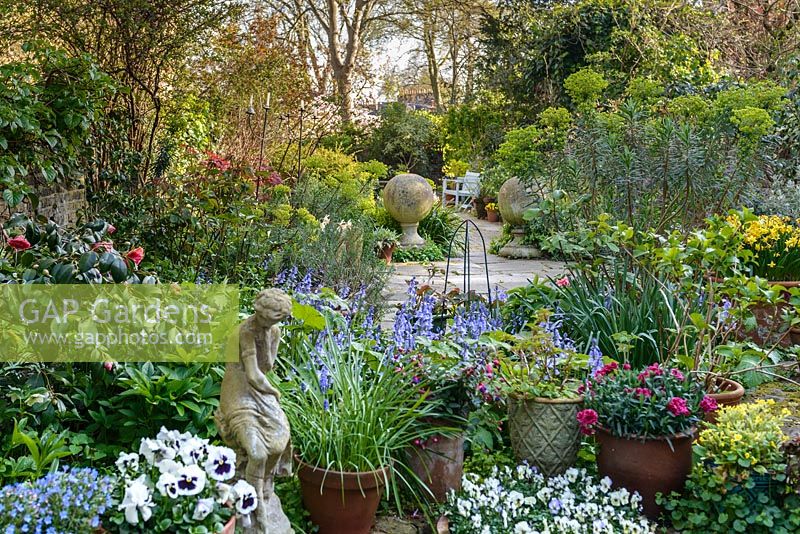 A view towards the garden with trees, Euphorbia, Camellia and pots with Violas surrounding a statue of a woman in ancient greek fashion