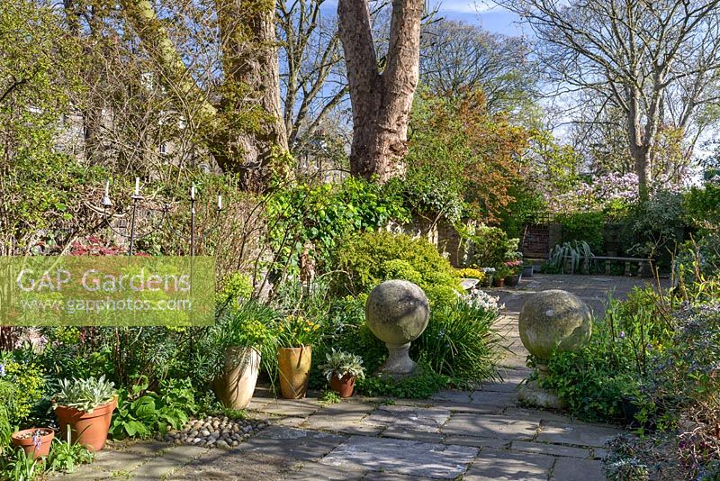 A garden view with Euphorbia, Acer, mature trees, potted plants and two architectural stone globes on pedestals