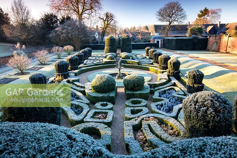View of frosty parterre. The Dutch Garden, Bridge End Garden, Saffron Walden, Essex