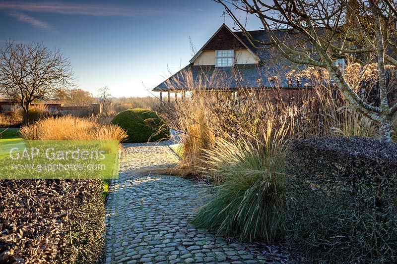 Cobbled pathways, topiary and grasses in the Courtyard Garden at Bury Court Gardens, Hampshire, UK. Designed by Piet Oudolf and John Coke.