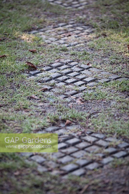 Cobbled paving pathway.