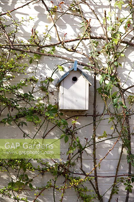 Decorative wooden bird box on wall. Garden: Little Court, Winchester, Hampshire