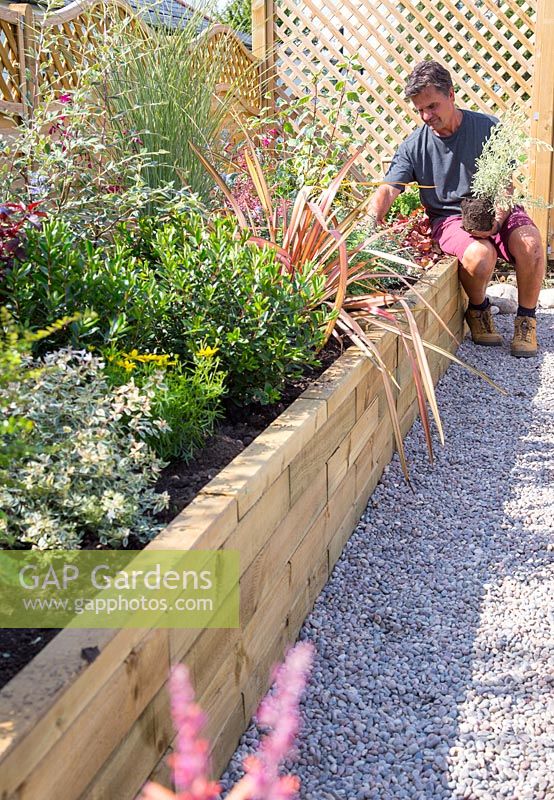 Antony from Garden on a roll planting potted mature plants according to the paper plan for the designed border