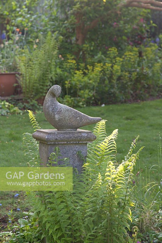 Decorative bird stone statue amongst ferns in spring. Garden: Quarry Cottages, Sussex