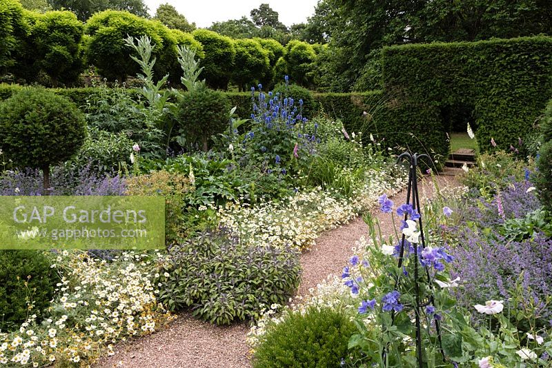 The blue and white Herbaceous Garden