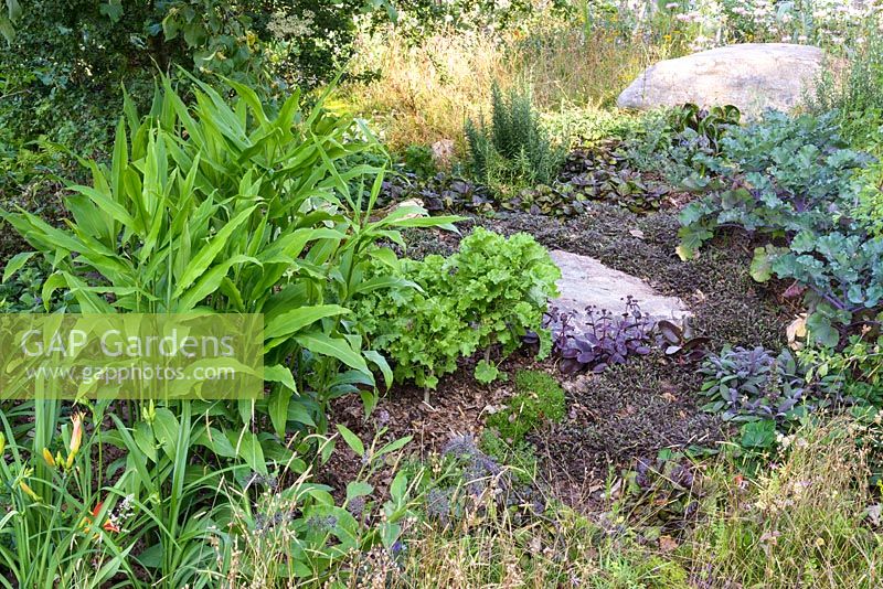Edibles and herbs with Siberian Kale, Ajuga, moss, thymus, clover. The London Glades. RHS Hampton Court Palace Flower Show 2017 - Designers: Andreas Christodoulou and Jon Davies
