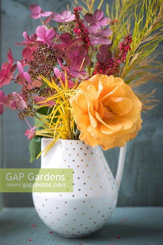 Bouquet of autumn flowers including orange scented rose, Persicaria amplexicaulis - red bistort, Hydrangea paniculata, Amsonia hubrichtii and dried flowers of Stipa gigantea in a vase against dark wooden background.