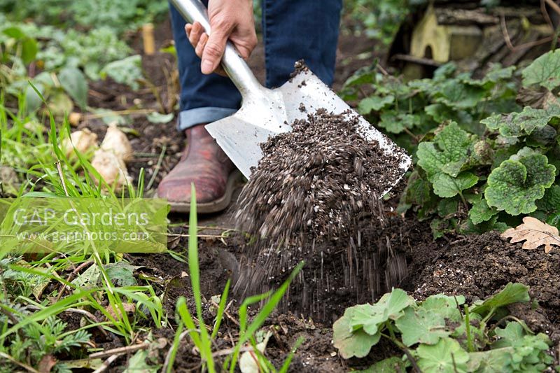 Woman adding grit to planting hole before planting bulbs to ensure good drainage