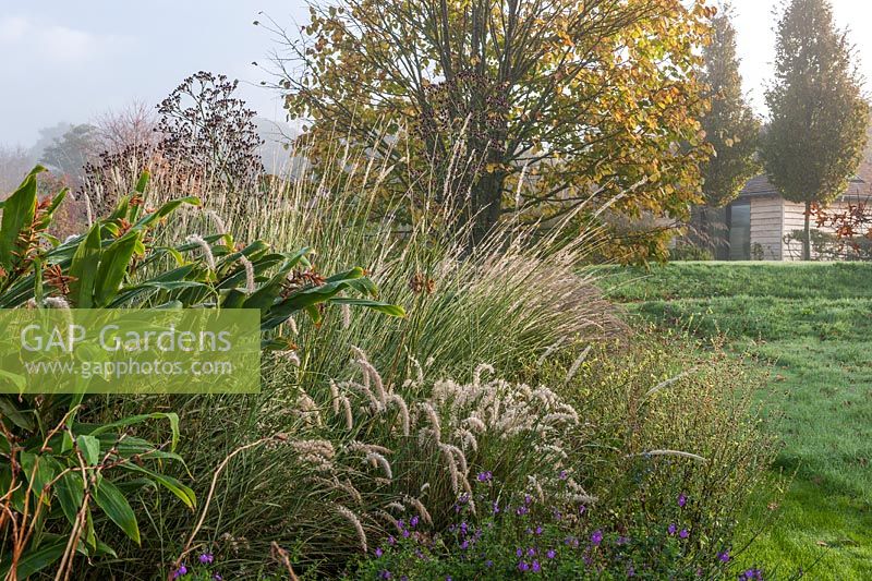 Autumnal border, Marchants Hardy plants, East Sussex