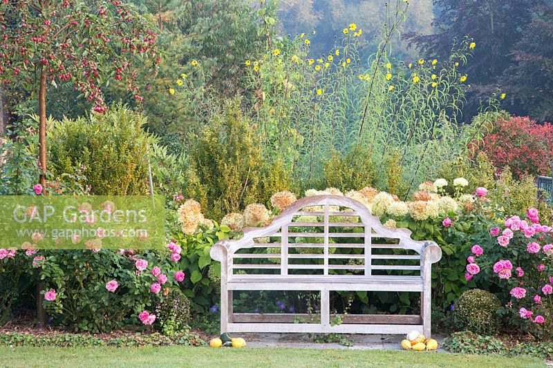 Lutyen's bench in front of a planting with roses, hydrangea, box and ornamental apple, Helianthus salicifolius, Hydrangea arborescens 'Annabell', Malus and Rosa