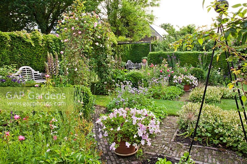 June borders of flowers and vegetables with potted Surfinia Petunias - Hetty van Baalen garden, The Netherlands