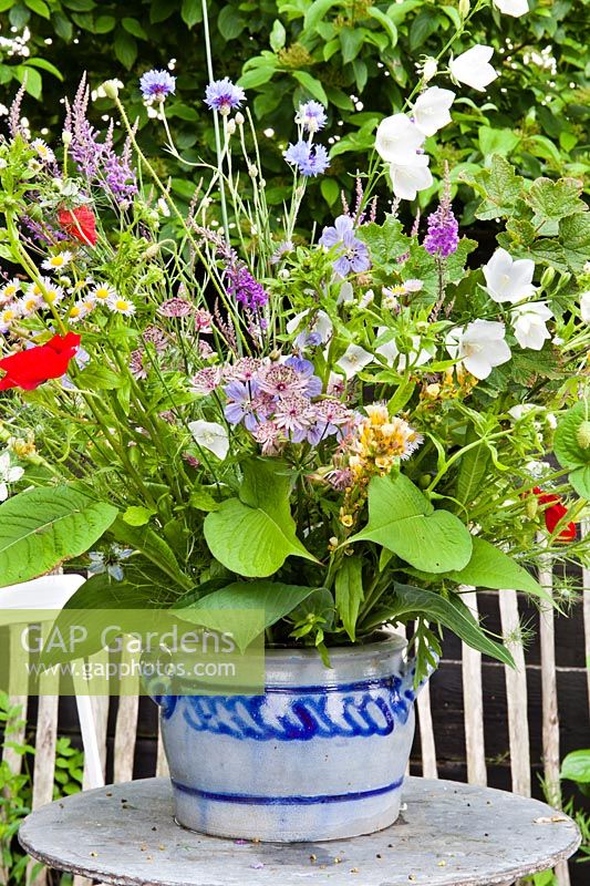 Floral display of early summer flowers on the table. Hetty van Baalen garden, The Netherlands