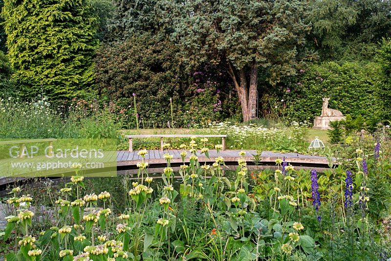 Phlomis russeliana next to pond in Tom Hoblyn designed garden at Heatherbrae