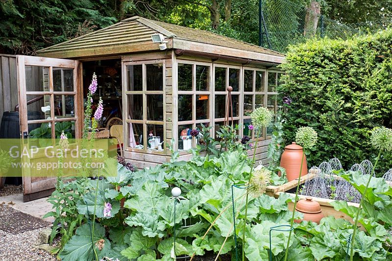 Gardeners' hut in a vegetable garden with views across Rhubarb and raised beds in a Tom Hoblyn designed garden at Heatherbrae