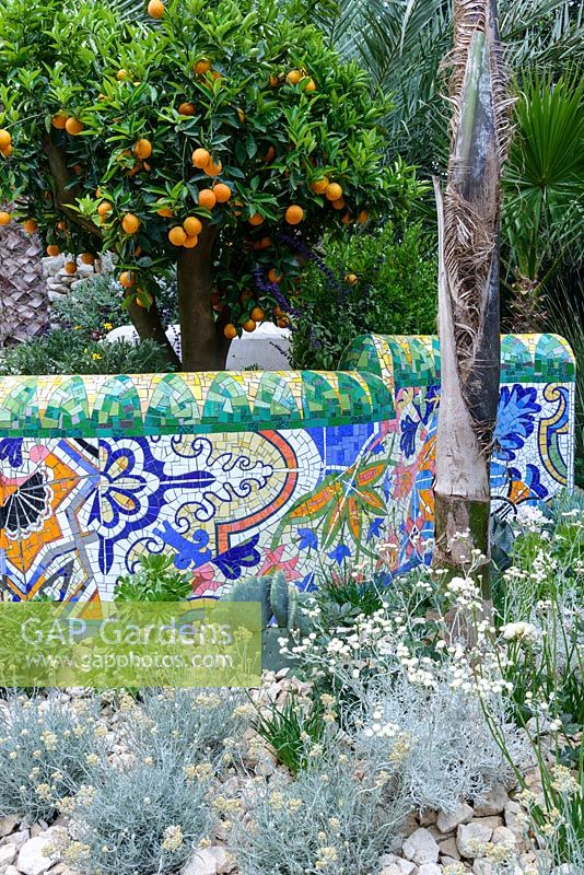 The Viking Cruises Garden of Inspiration -
Mediterranean style planting with succulents, fruiting orange tree and mosaic covered wall inspired by Gaudi - RHS Chelsea Flower Show 2017 