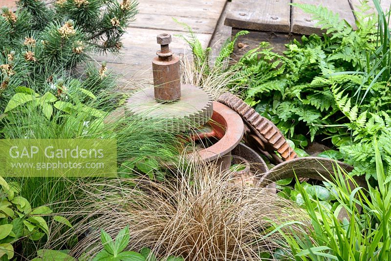 Sculptural rusty cogs with planting of ferns and bronze Carex - Industrial Decay in Walker's Wharf Garden supported by Doncaster Deaf Trust - RHS Chelsea Flower Show 2017 