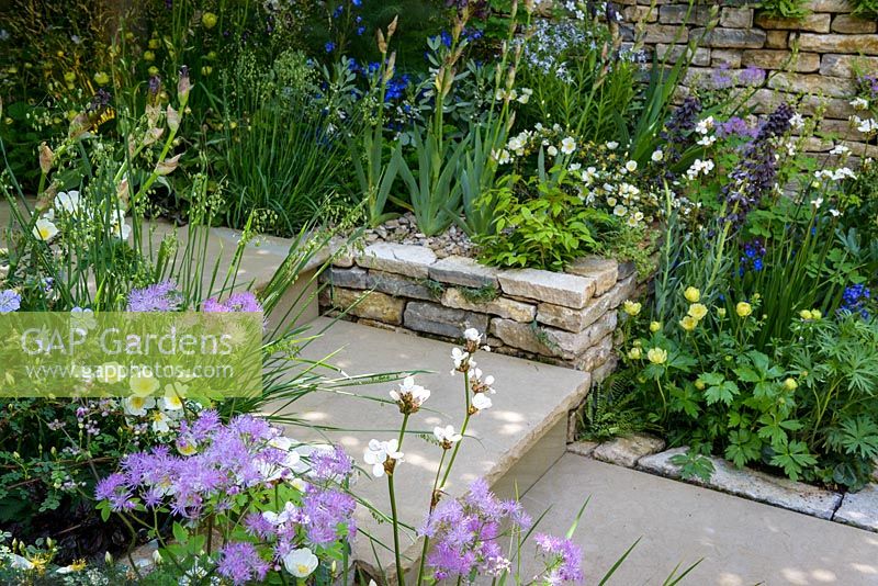Steps and dry stone walls with blue, purple and yellow planting including Trollius 'Cheddar', Paeonia lactiflora 'Jan van Leeuwen', Fritillaria persica 'Twin Towers', Thallictrum, Anchusa azurea 'Loddon Royalist'-  The Poetry Lover's Garden - RHS Chelsea Flower Show 2017  