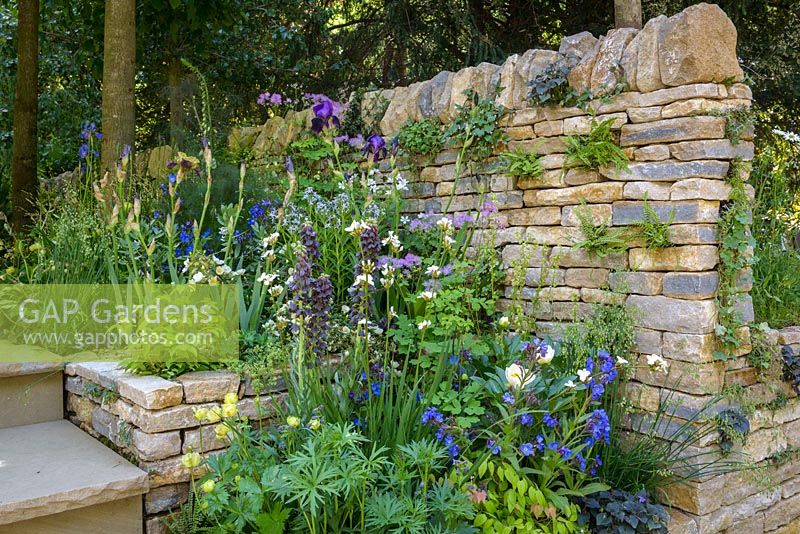Dry stone walls planted with ferns, violas and ivy-leaved n in The Poetry Lover's Garden - RHS Chelsea Flower Show 2017 