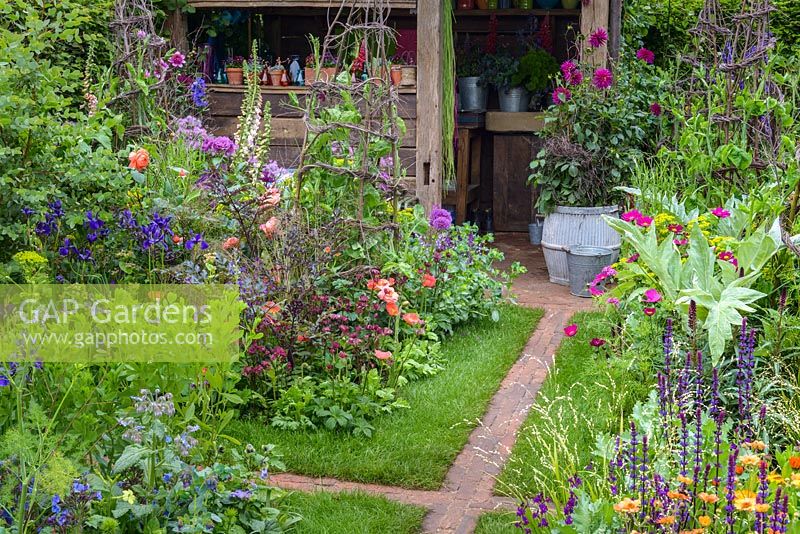 The Anneka Rice Colour Cutting Garden. Radio 2 Feel Good Gardens - Border planted with Astrantia, Borage, Cynara, Dahlias, Cosmos bipinnatus 'Dazzler' and Geum 'Totally Tangerine' with blue Irises, Poppies, Roses and Salvias - RHS Chelsea Flower Show 2017