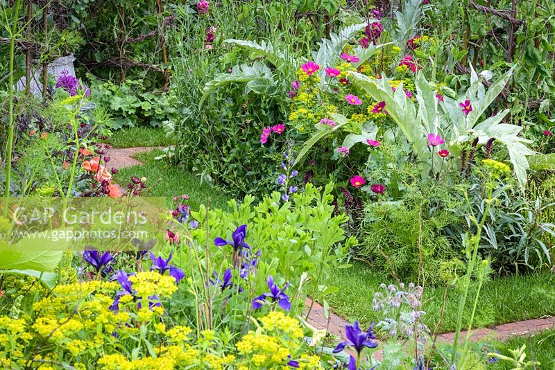 The Anneka Rice Colour Cutting Garden - Astrantia, Cynara, Cosmos bipinnatus 'Dazzler', Geum 'Totally Tangerine', blue irises and Euphorbia - RHS Chelsea Flower Show 2017