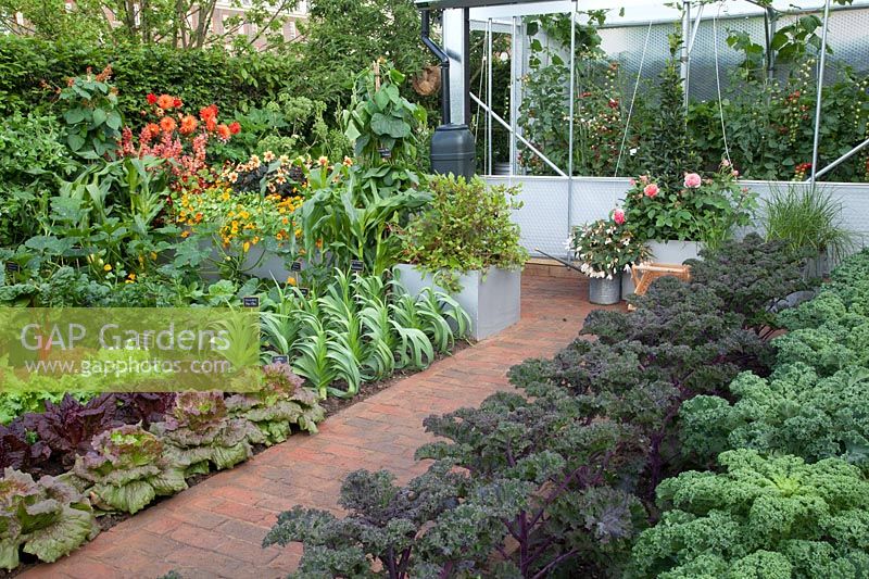 The Chris Evans Taste Garden - View of greenhouse and Brassica beds - RHS Chelsea Flower Show 2017