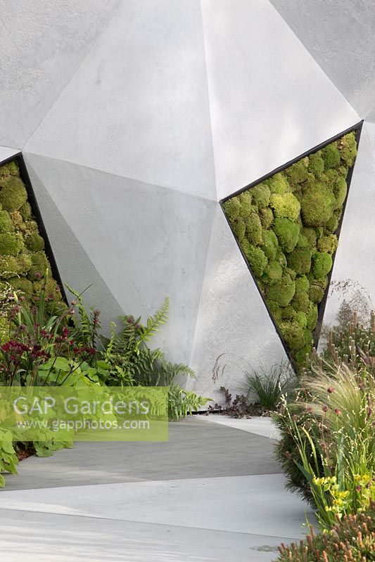 The Jeremy Vine Texture Garden - concrete wall inlaid with moss balls - RHS Chelsea Flower Show 2017