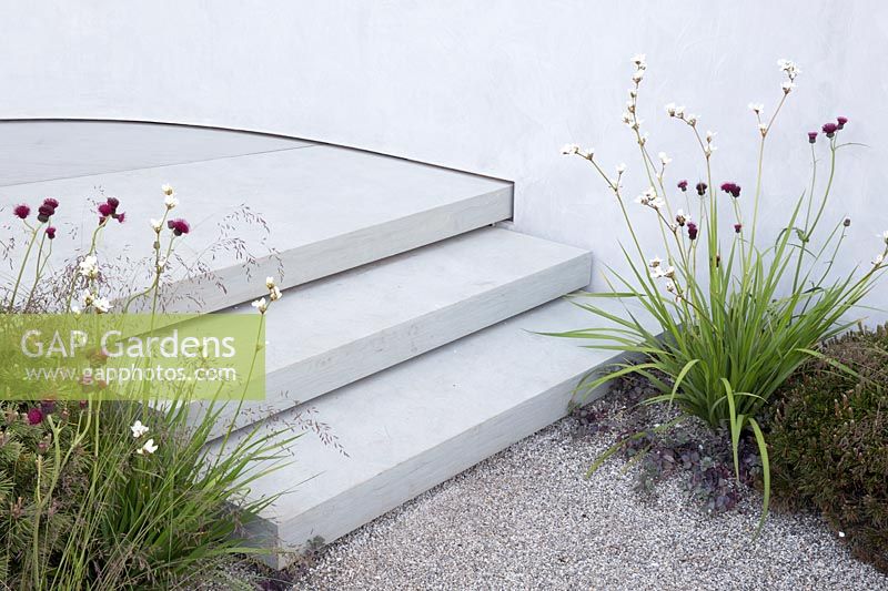 The Jeremy Vine Texture Garden, Stone steps leading to a gravel garden planting includes Cirsium rivulare 'Atropurpureum' - RHS Chelsea Flower Show 2017
