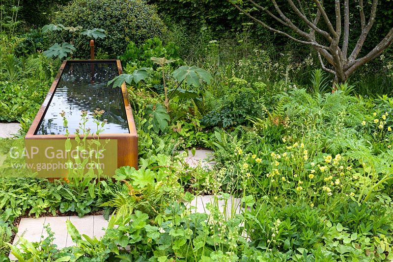 Three rusty weathered steel water tanks surrounded by woodland shady planting with ferns and Geum 'Banana Daiquiri' Cocktails series -  The Zoe Ball Listening Garden - RHS Chelsea Flower Show 2017 - Designer: James Alexander-Sinclair