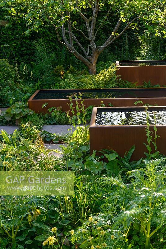 Three rusty weathered steel water tanks surrounded by woodland shady planting with ferns in evening light - The Zoe Ball Listening Garden - RHS Chelsea Flower Show 2017 -Designer: James Alexander-Sinclair