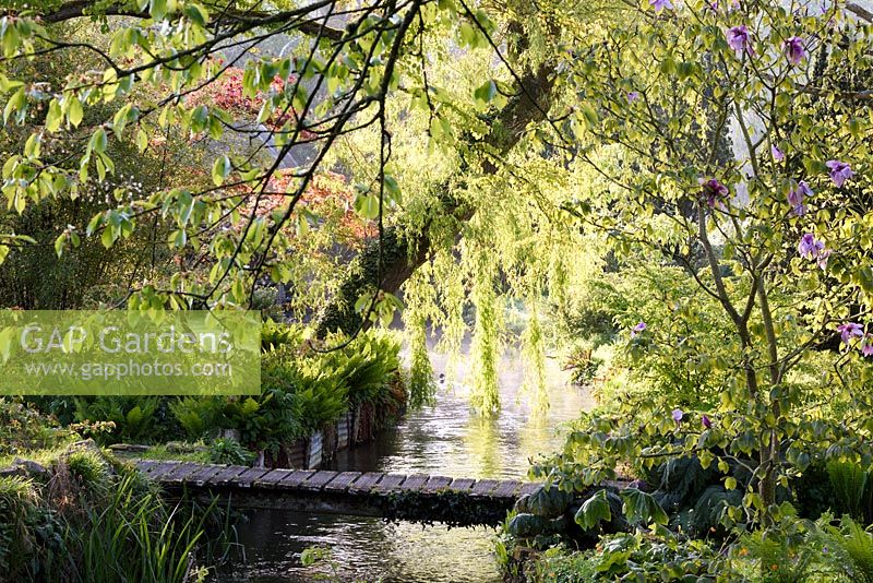 A weeping Willow hangs over a tributary of the River Avon running through the Japanese garden at Heale House, Middle Woodford, Wiltshire
