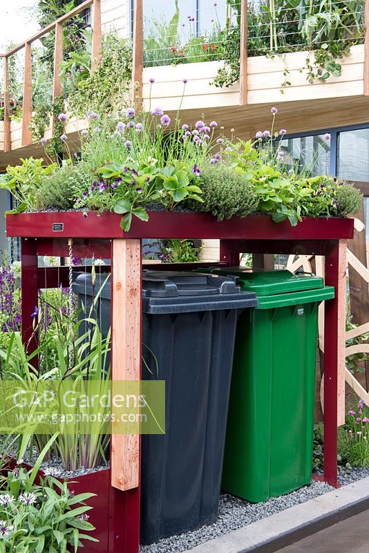 The RHS Greening Grey Britain Garden - Wheelie bin storage with green roof containing Chives, Thyme and Strawberries - RHS Chelsea Flower Show 2017