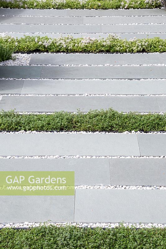 Grey stone planks and gravel patio planted with rows of thyme - Living Landscape: Healing Urban garden - RHS Hampton Court Palace Flower Show 2015