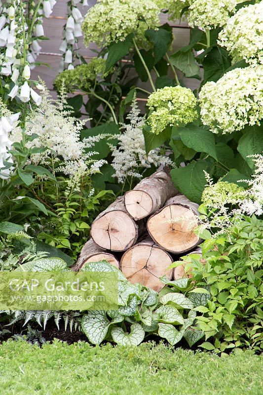 Pile of logs in border to attract wildlife in Living Landscapes - City Twitchers Garden -  RHS Hampton Court Flower Show 2015