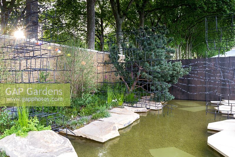 Pool bordered by stone slabs suspended above the water. Plants include Birch and Pine trees, Foxgloves - Digitalis purpurea, Cotton grass  and ferns - Breaking Ground - RHS Chelsea Flower Show 2017 - Designers: Andrew Wilson and Gavin McWilliam - Sponsor Darwin Property Investment Management Ltd