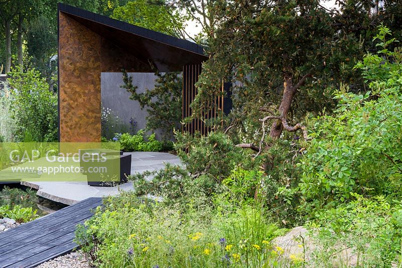 Contemporary copper-coloured geometric shelter, seating area and naturlaistic planting including Pinus banksiae - Jack pine and Aquilegia canadensis - The Royal Bank of Canada Garden - RHS Chelsea Flower Show 2017 - Designer: Charlotte Harris - Sponsor: RBC