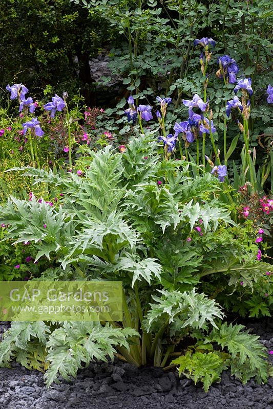 The Linklaters Garden for Maggie's - RHS Chelsea Flower Show 2017 - Designer: Matthew Marks - Sponsor: Marshalls Paving Plc