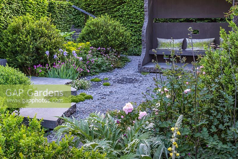 Seating area made of cuboid of black  basalt concrete seat with green and white cushion, crushed concrete gravel and  planting of Geranium, Iris pallida, Paeonia,  Scleranthus biflorus, and Buxus sempervirens with hornbeam hedge in background - The Linklaters Garden for Maggie's - RHS Chelsea Flower Show 2017 - Designer: Darren Hawkes - Gold