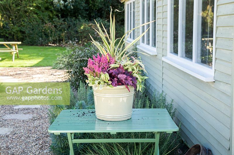 Winter container filled with Phormium 'Golden Ray', Heuchera 'Little Cutie Sugar Berry' and Erica gracilis 'Beauty Queens'