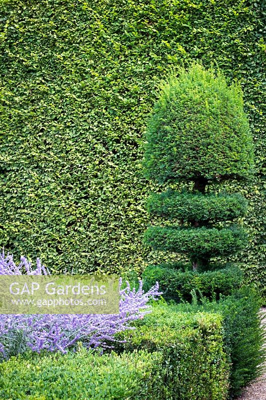 Box hedging and Yew topiary in the parterre garden