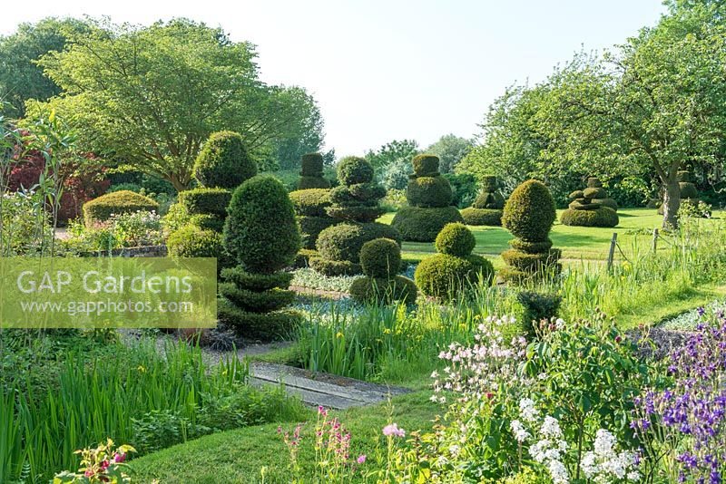 Clipped yew topiary chess pieces.