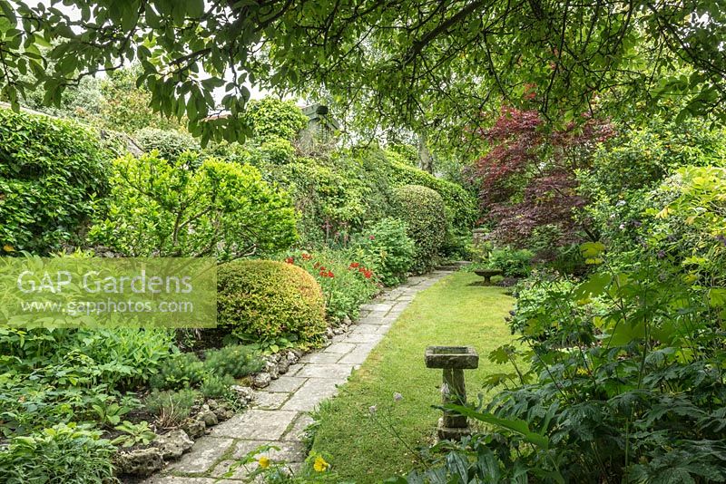 Narrow garden with a stone path, mixed shrub borders and small lawn.