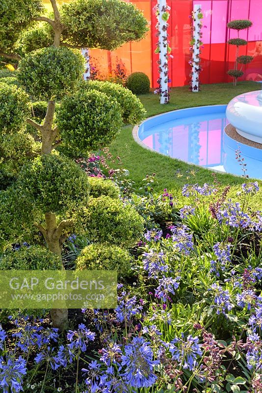 Cloud topiary Ilex crenata underplanted with Agapanthus and Salvia, GRP seating surrounded by circular rill, hydroponic salad towers, with a backdrop of coloured acrylic panelling - Journey of Life - RHS Hampton Court Palace Flower Show 2017. Designer: Edward Mairis. Sponsor: Xardin Gardens