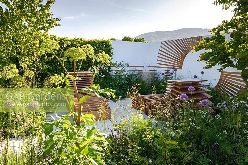 Slatted reclining spa chairs surrounded by soft planting of Alliums and Angelica archangelica - Spa Garden - Molecular Garden, RHS Malvern Spring Festival 2017