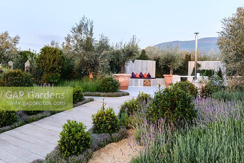 Patio with outdoor kitchen, heated pool and  seating area surrounded by olive trees in large terracotta planters - The Retreat, RHS Malvern Spring Festival 2017