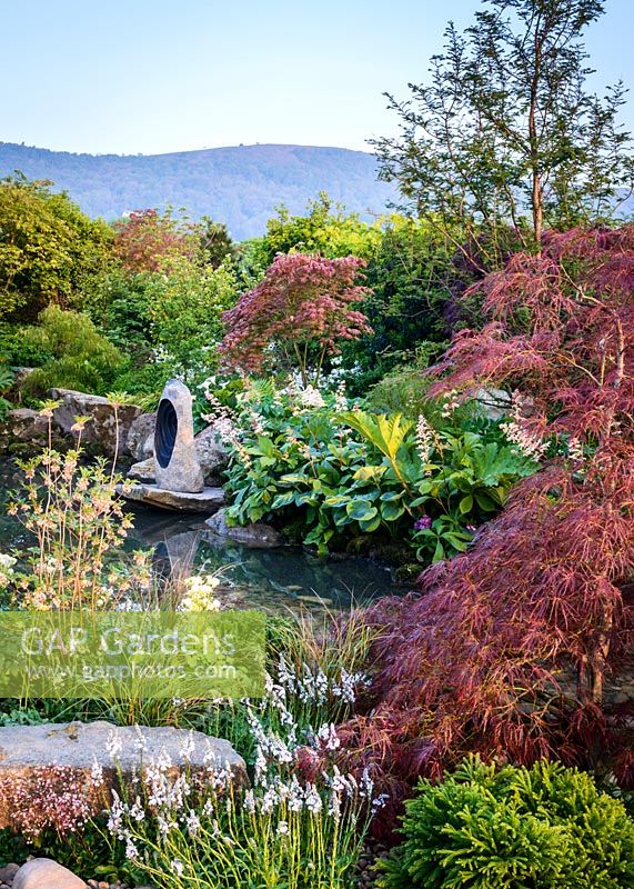 Japanese style garden with Acer palmatum, Zantedeschia aethiopica, Rodgersia aesculifolia and Gunnera manicata surrounding pond, sculpture by Matthew Maddocks - 'At One With...A Meditation Garden' - Howle Hill Nursery, RHS Malvern Spring Festival 2017