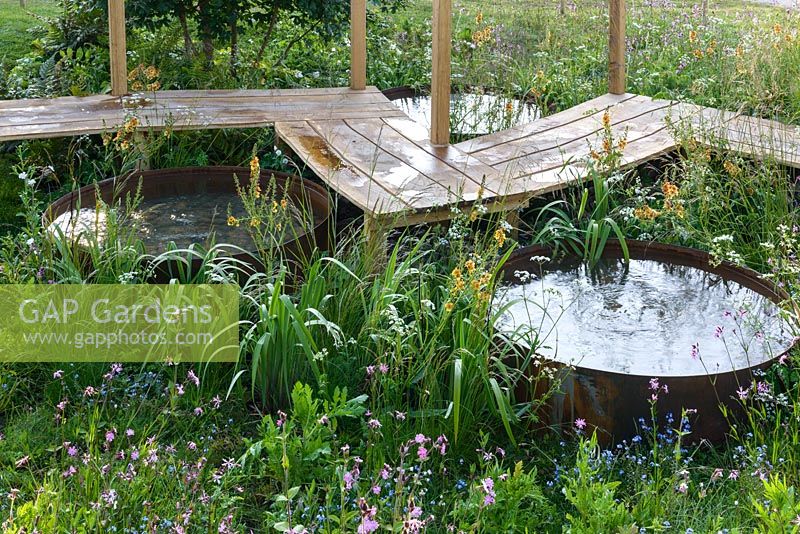 Walkway over circular ponds and wildflower meadow with  red campion, cow parsley, forget-me-nots, Deschampsia flexuosa and Verbascum 'Clemantine' - The Refuge Garden in aid of Help Refugees UK, RHS Malvern Spring Festival 2017 