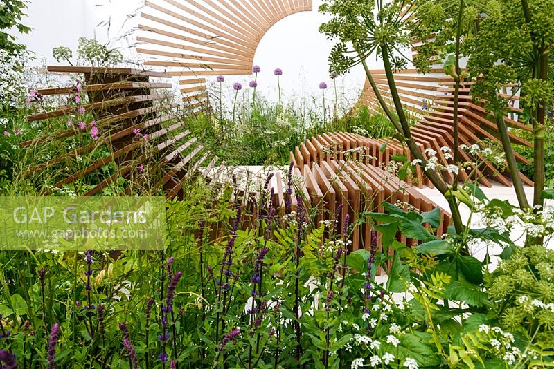 Allium, Salvia and Anthriscus sylvestris surround slatted recliners - Spa Garden - Molecular Garden, RHS Malvern Spring Festival 2017 
