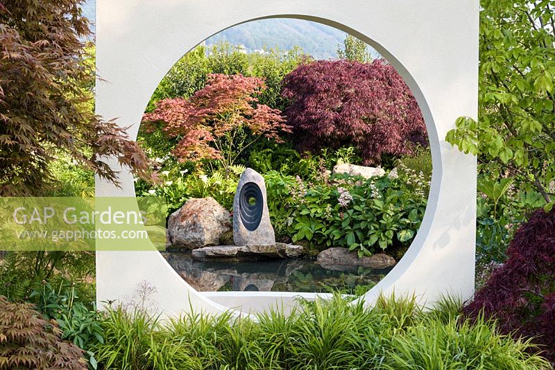 Japanese style garden framed with 'Moongate' window, with sunken circular area with planting of Hakonechloa macra, Acer palmatum, Astilbe, Zantedeschia aethiopica and Gunnera manicata - 'At One With...A Meditation Garden' - Howle Hill Nursery, RHS Malvern Spring Festival 2017