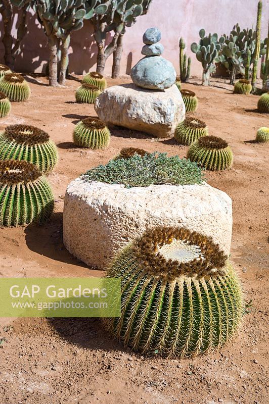 Contemporary dry, desert garden with cacti and succulents - Palais Claudio Bravo, Taroudant, Morocco