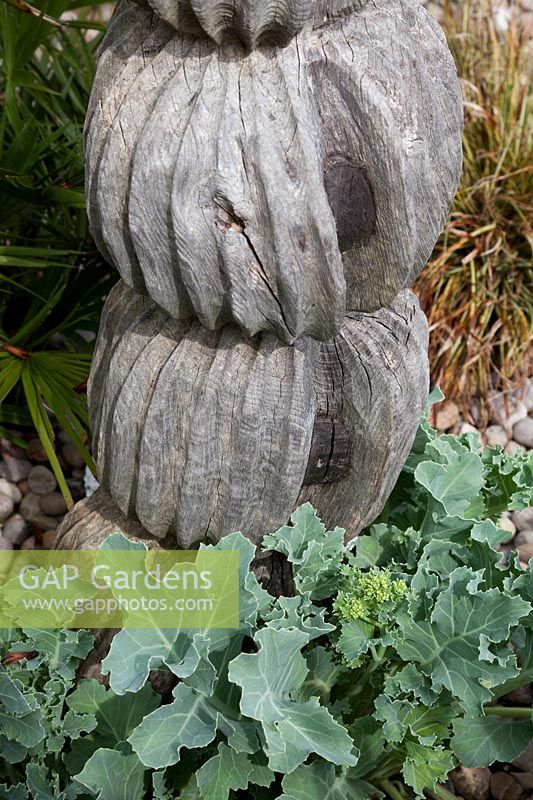 Wooden ball sculpture with Crambe maritima - Sea Kale.